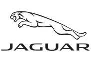 Jaguar Naples